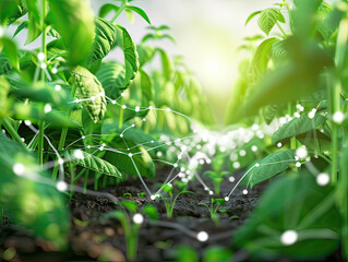 Fototapeta premium Visualization of antifungal treatment in agriculture, 3D tech protecting plants, text area