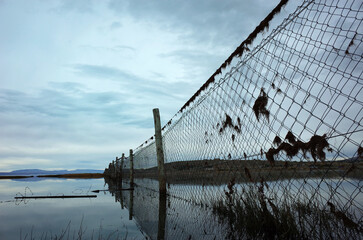 Chain-link fence with barbed wire runs through an area flooded with water, Cloudy sky reflecting in the lake, Grass on the fence shows how high the water was, near El Calafate, Patagonia, Argentina