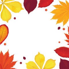 Autumn leaves. Wooden backing. Table