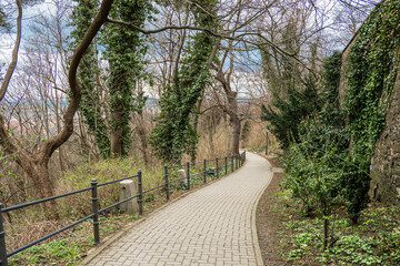 A pedestrian path to the castle is surrounded by ivy-covered trees