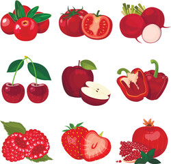 Set of berries and fruits, vegetables on a white background. Vector icon	
