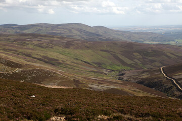 Obraz premium Scottish landscape - Mount Battock from Glen Esk - Angus - Scotland - UK