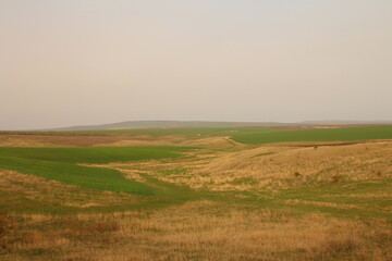 Fototapeta premium A field with grass and dirt