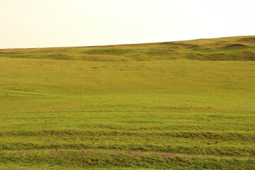 Fototapeta na wymiar A large green field
