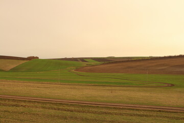 A field with grass and a fence