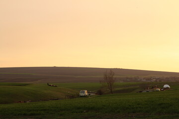 A field with a house and trees