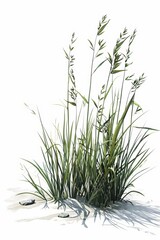 A realistic tussock with a white background, simple design, 2D, flat colors, green palette, high resolution, 