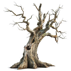 Dead tree on PNG transparent background for decorating Halloween and horror projects.