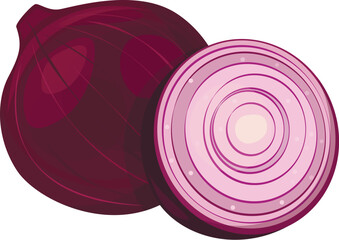 Red onion, cut into pieces, isolated on white background. Vector