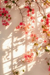 White wall, pink flowers hanging on the branches, sunlight shining through the window onto them, 