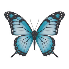 Blue ribbon butterfly isolated on transparent background