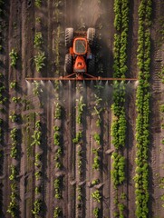 Top-down shot of a red tractor actively tilling the soil among rows of lush green crops in a display of modern agriculture.