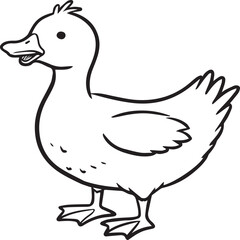 Duck coloring pages. Duck outline vector for coloring book