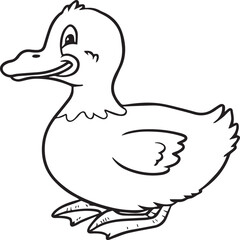 Duck coloring pages. Duck outline vector for coloring book