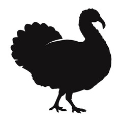 Fototapeta premium Turkey Silhouette