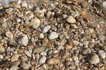 Stones and shells on the shore of the Mediterranean Sea.
