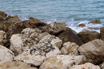 Fototapeta na wymiar Stones and shells on the shore of the Mediterranean Sea.