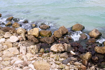 Fototapeta na wymiar Stones and shells on the shore of the Mediterranean Sea.