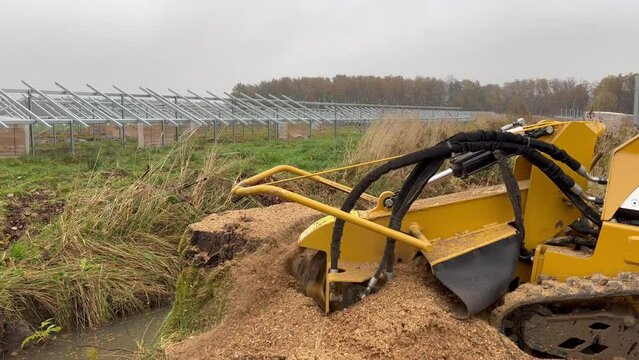 stump grinder at work