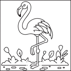 Flamingo coloring pages. Flamingo outline vector for coloring book