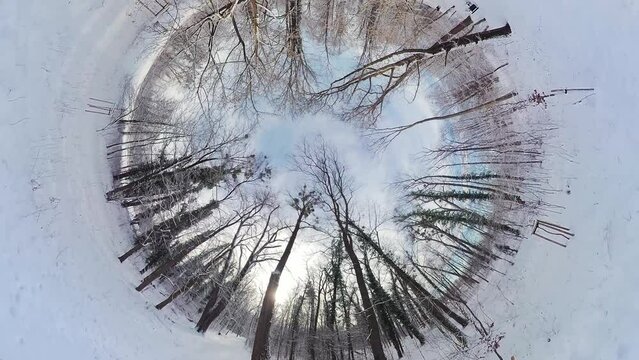 Embark on a captivating journey through a serene winter forest in this 360-degree video. The immersive footage transports you to the heart of a snow-covered woodland , where youll feel like youre