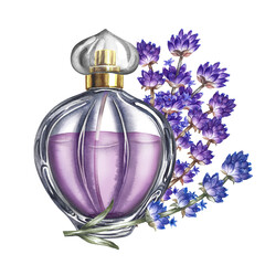 A perfume bottle made of transparent glass with lavender flowers. Vintage purple perfume with lavender scent. A hand-drawn watercolor illustration. Isolate her. For packaging, postcards and labels.