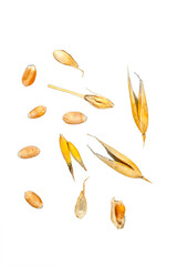  grain isolated over transparent background png