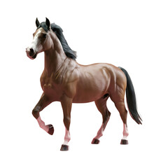Obraz premium Horse stallion realistic illustration isolated on transparent background