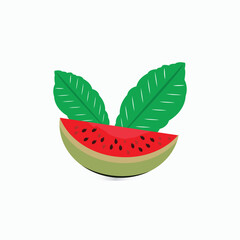 Vector watermelon fruit and leaves isolated white background.