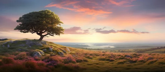 Foto op Plexiglas A tree is perched atop a hill during sunset, with clouds in the sky and the horizon glowing in dusk, surrounded by grass and a serene natural landscape © AkuAku