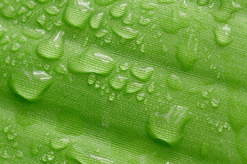 Close-up of bright green tropical plant leaf with fresh water drops
 - obrazy, fototapety, plakaty