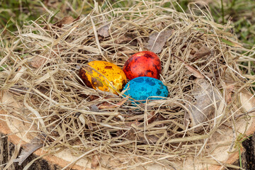 Coloured eggs, Easter eggs, angle top view, selective focus, in the nest