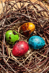 Coloured eggs, Easter eggs, angle top view, selective focus, in the nest