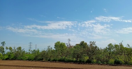 grass and blue sky