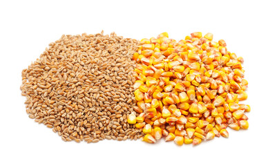 Grain wheat and corn. © ANASTASIIA