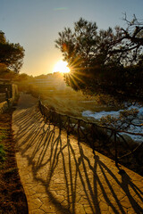 Mallorca Sonnenaufgang mit Schattenspiel Zaun