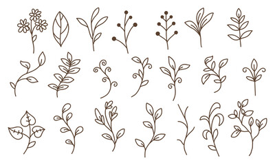 hand drawn colorless floral decoration element set vector