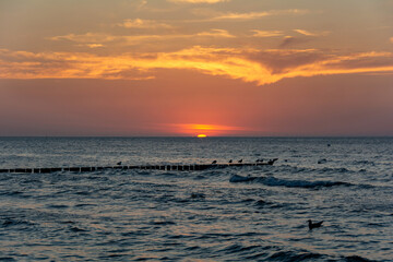 Sunset over the sea with breakwaters and birds