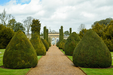 Grand pathway lined with shaped box hedges in a formal garden