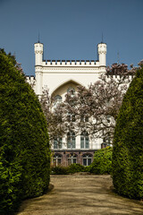 Zamek w Kórniku, muzeum z kwitnącymi drzewami magnolii.  - obrazy, fototapety, plakaty