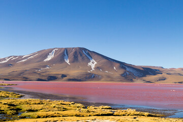 Laguna Colorada view, Bolivia