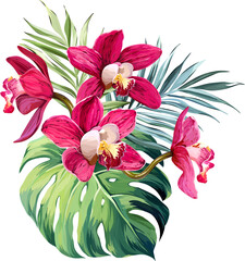 Vector bouquet of tropical flowers. Orchid, monstera, palm, flower of paradise, plumeria