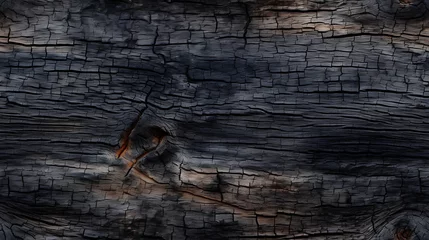 Fotobehang burnt wood texture, charred wood, shou sugi ban texture, yakisugi, high quality graphic source, high resolution background © Kateryna Sharko