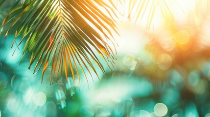 Blurred Green Palm Leaves on a Tropical Beach with Sunlight,  Abstract Wave Background
