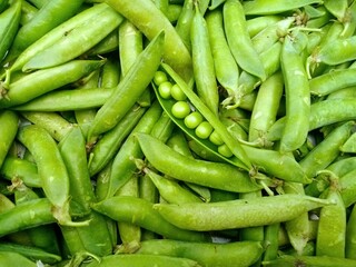 Fresh  peas 