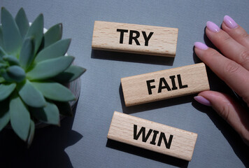 Try Fail Win symbol. Concept words Try Fail Win on wooden blocks. Beautiful grey background with succulent plant. Businessman hand. Business and Try Fail Win concept. Copy space.