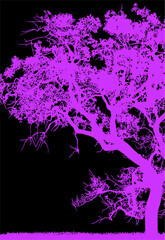 arboles, vector, silueta, paisaje, arbol, florecer, ramas, hojas, bosque, ilustracion, arte, naturaleza, descanso, follaje, textura