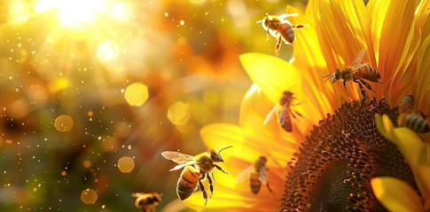 Fotobehang Close-up of a bee collecting honey from a blooming yellow sunflower. Preparation of natural honey. Sunflower and bee as a symbol of summer, health. AI generated illustration © moon