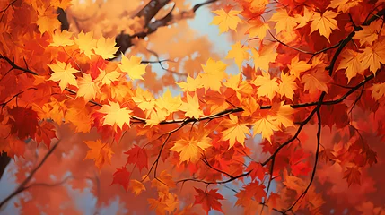 Crédence de cuisine en verre imprimé Rouge autumn maple leaves