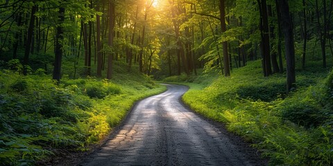 A narrow road winds through dense woods, illuminated by sunshine and sunbeams.